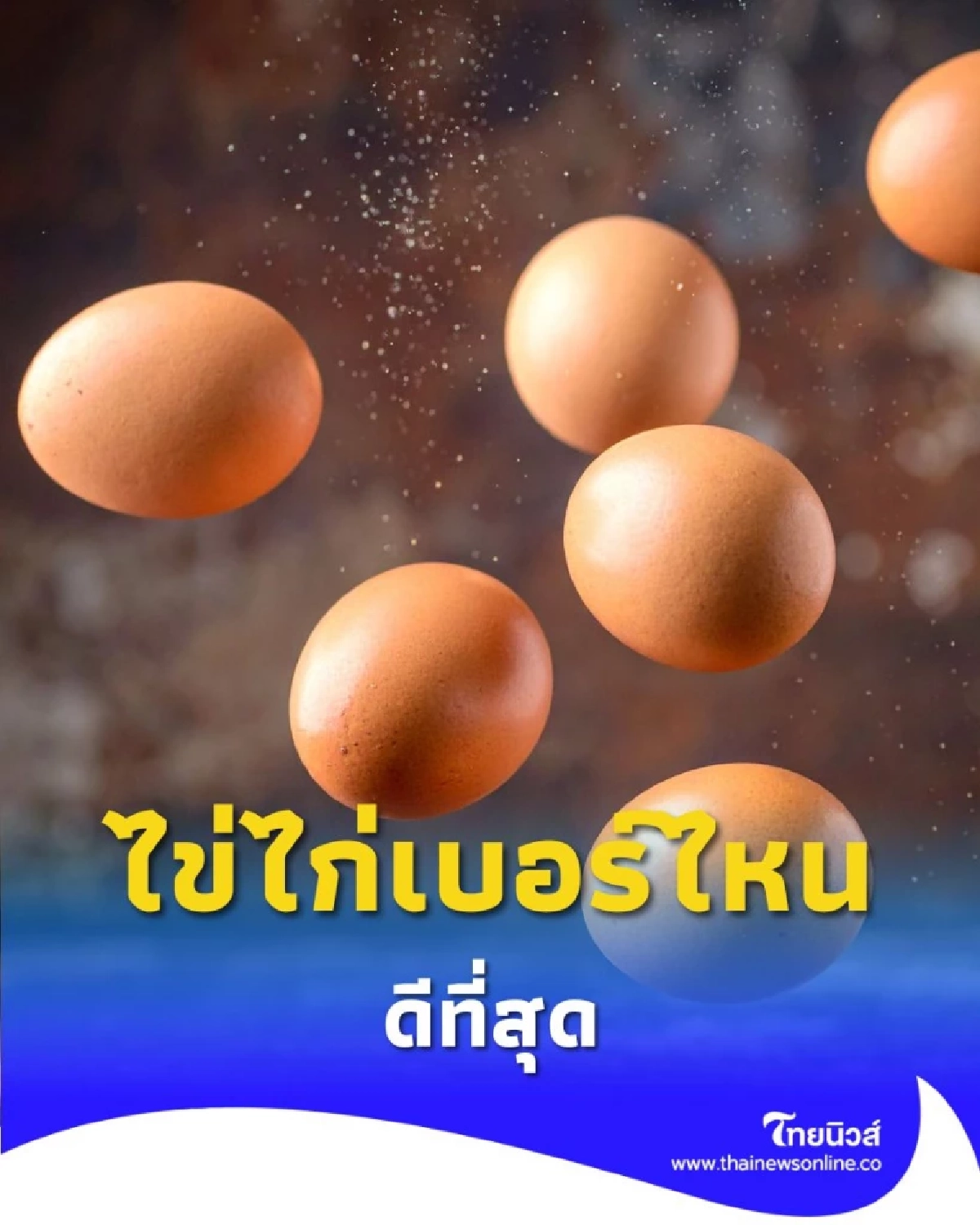 ไข่ไก่แต่ละเบอร์ เลือกยังไงให้ได้ประโยชน์สูงที่สุดสำหรับคุณ