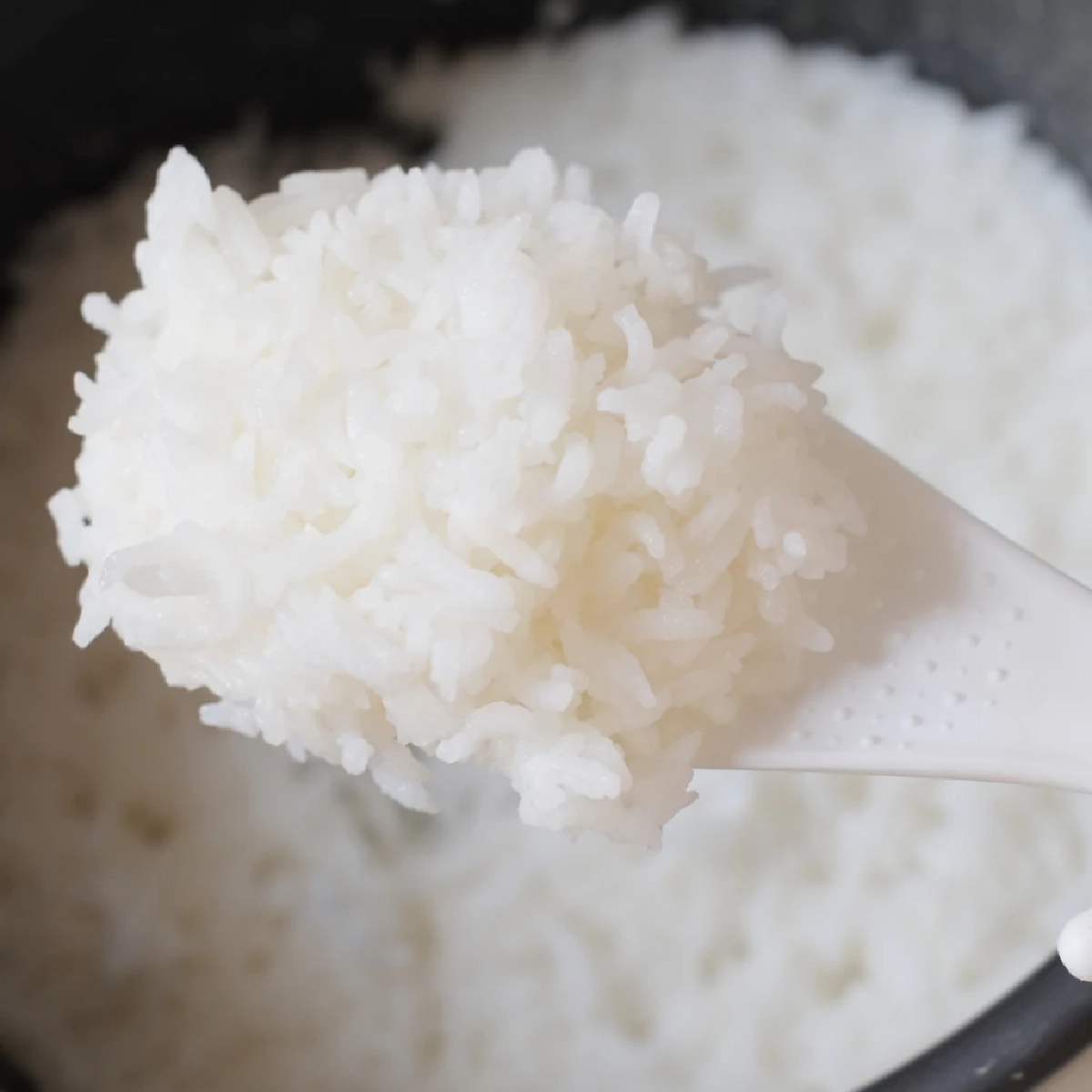 ข้าวค้างคืน กินได้จริงหรือไม่? เผยประโยชน์สุดเซอร์ไพรส์