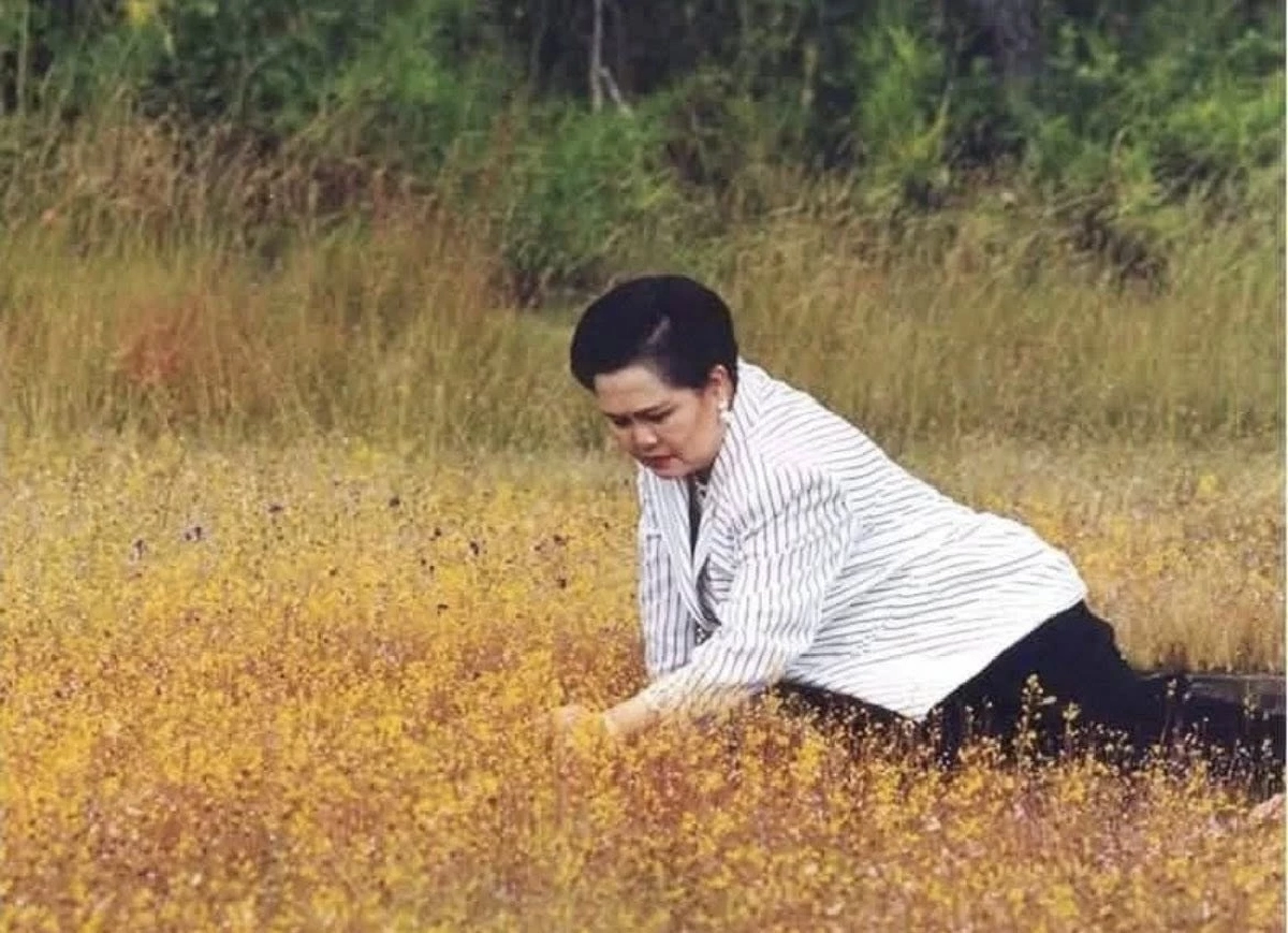 สมเด็จพระนางเจ้าสิริกิติ์ พระบรมราชินีนาถ พระบรมราชชนนีพันปีหลวง