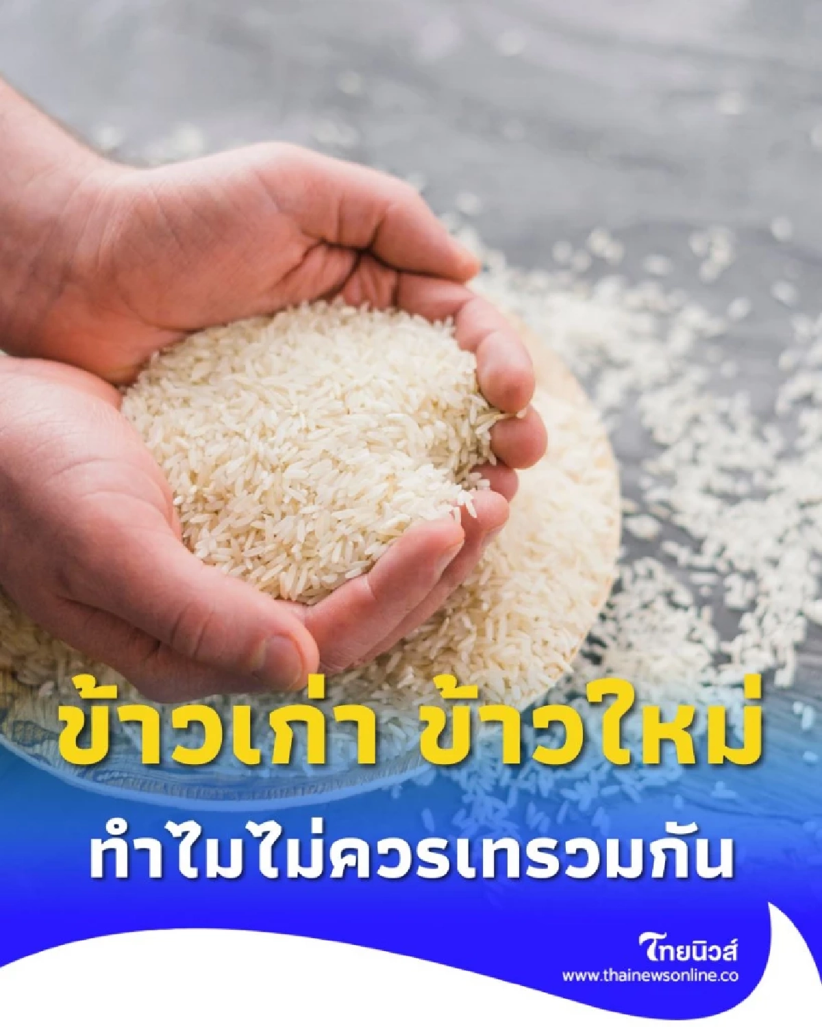 ไขข้อควรรู้ ข้าวเก่า ข้าวใหม่ นำมาเทปนกันได้ไหม วันนี้มีคำตอบ
