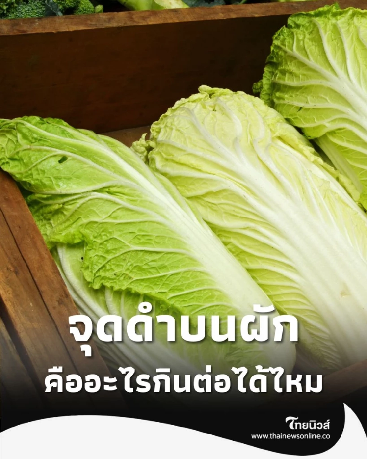 จุดดำบนผักกาดขาว กินต่อได้ไหม เปิดคำตอบที่คุณต้องรู้ก่อนปรุง