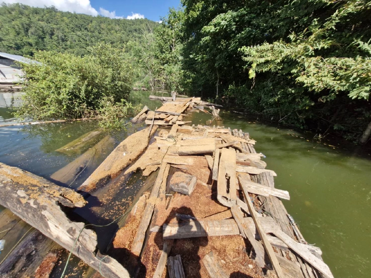 อช.ลำน้ำน่าน-ศรีน่าน สนธิกำลัง! จับกุม-ยึดไม้แปรรูปเถื่อน