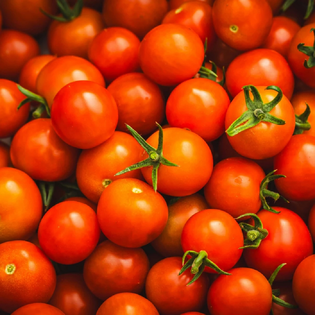 กรมการแพทย์แนะ 5 ผักช่วยลดความเสี่ยงมะเร็งลำไส้ใหญ่