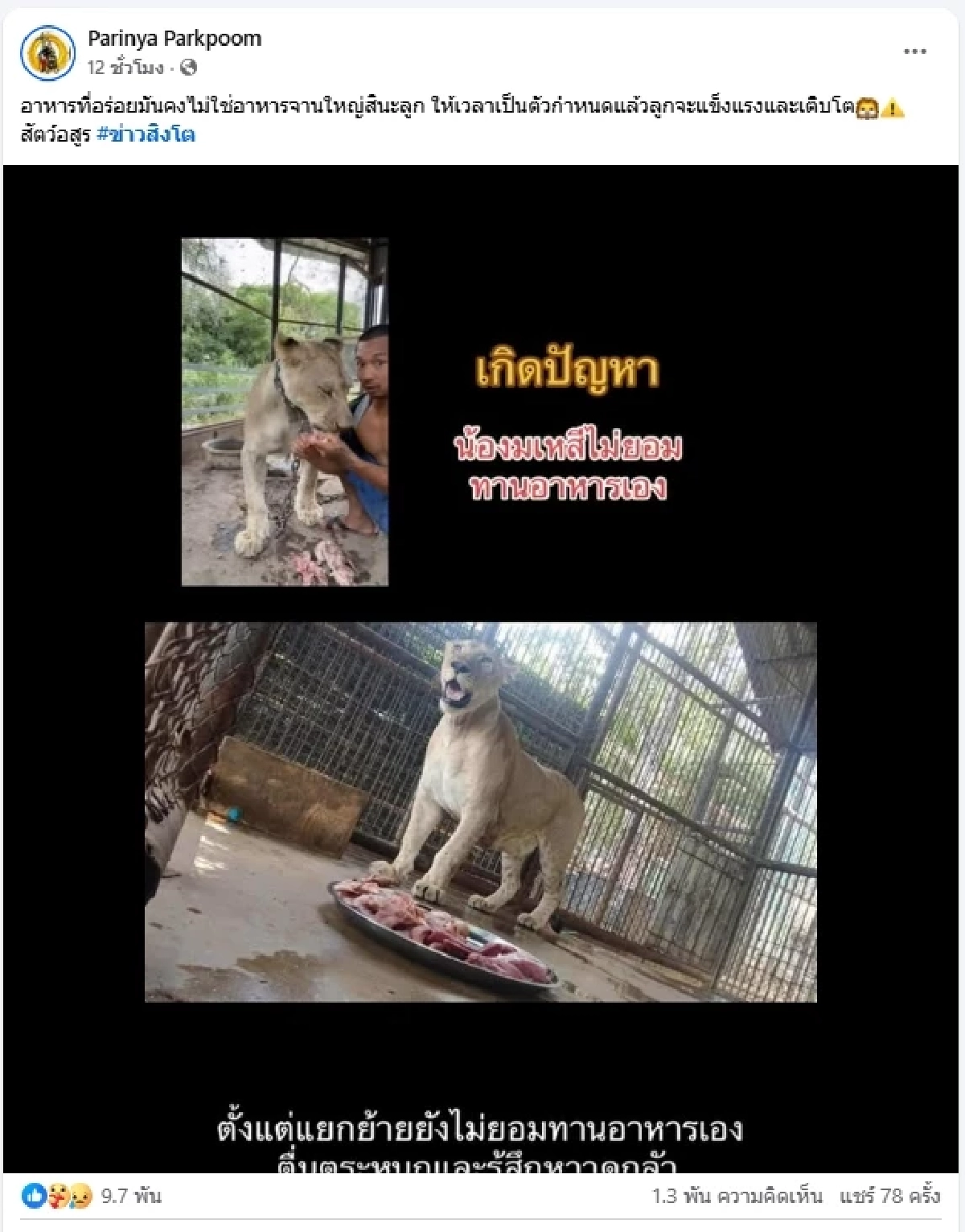 เจ้าของโพสต์เศร้า\"มเหสี\" สิงโตกัดคน ล่าสุดเกิดปัญหาแล้ว