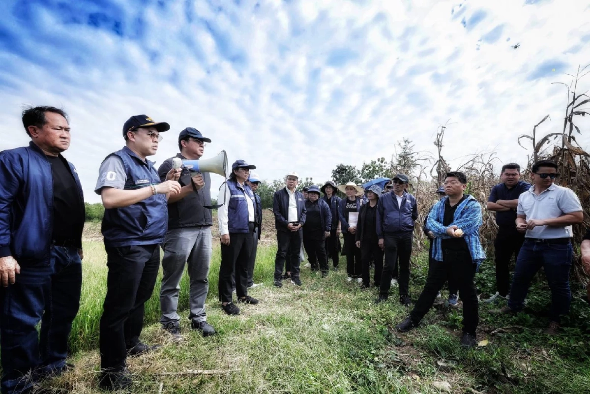 ลงพื้นที่ Crop Cutting เพชรบูรณ์ \"สศก.\"ยันหลักข้อมูลสถิติการเกษตรตรวจสอบได้
