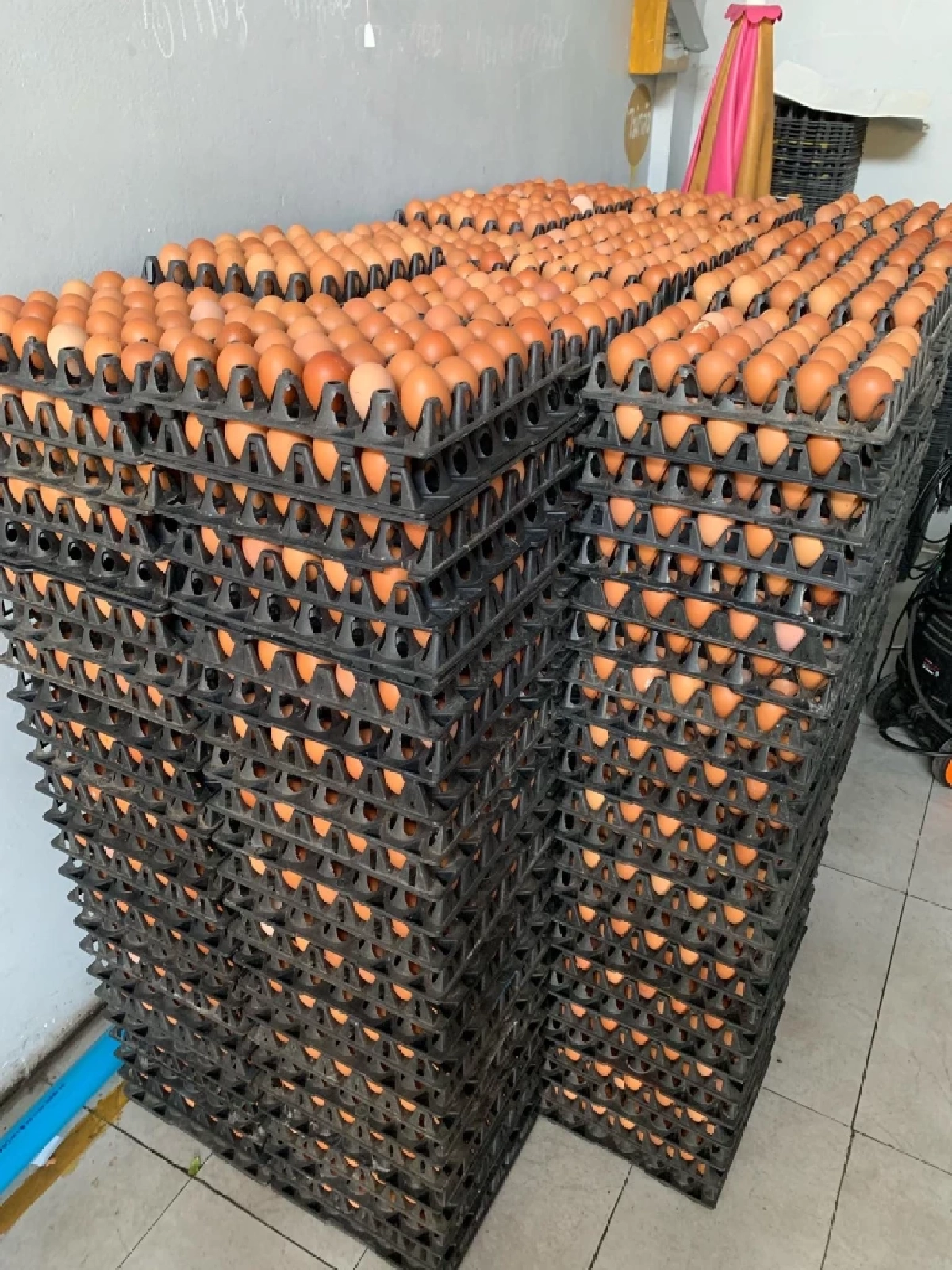 เคล็ดลับจากตัวจริง ล้งไข่ เฉลยแล้ว ซื้อไข่ไก่เบอร์ไหนคุ้มสุด