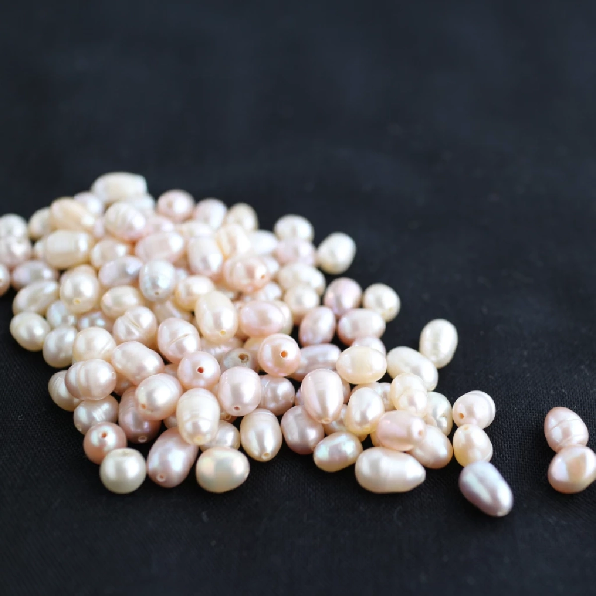 ไข่มุกเกิดจากอะไร เผยความลับธรรมชาติในตัวหอยมุก