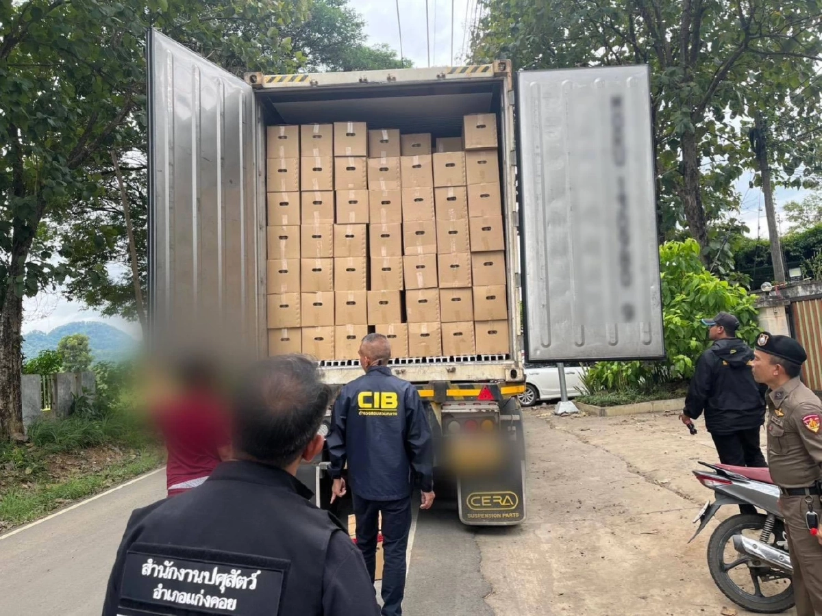 สกัดด่วน ไข่ไก่มีเชื้อ 3.5 แสนฟอง ลอบเข้าไทย เสี่ยงแพร่โรค