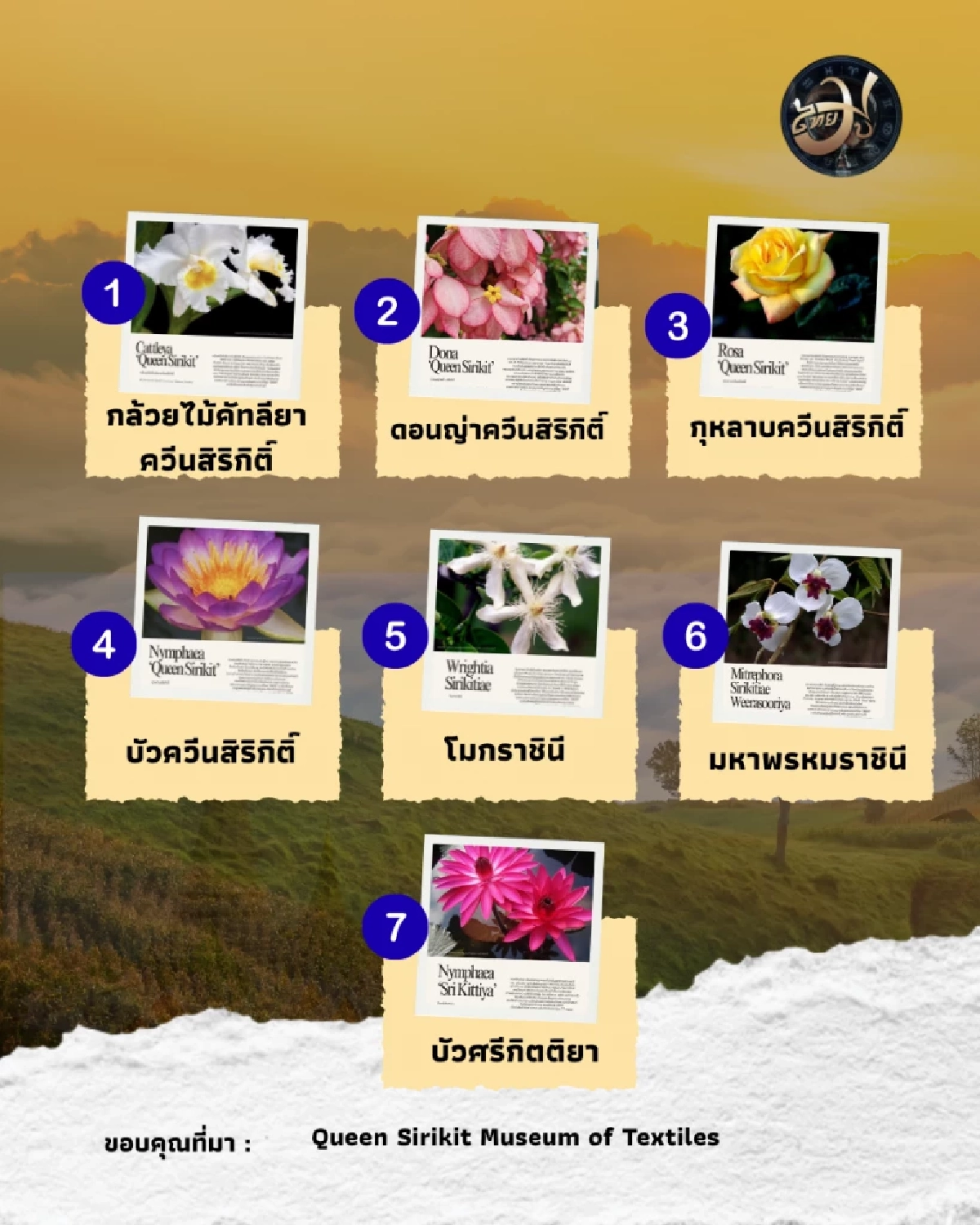 เปิดลิสต์ ดอกไม้ที่ใช้พระนามาภิไธย สิริกิติ์ เทิดพระเกียรติสมเด็จพระพันปีหลวง