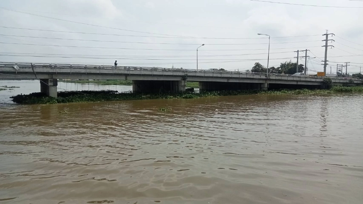 กรมโยธาธิการและผังเมือง ส่งเรือกำจัดผักตบชวาในแม่น้ำท่าจีน แก้ปัญหาการระบายน้ำ