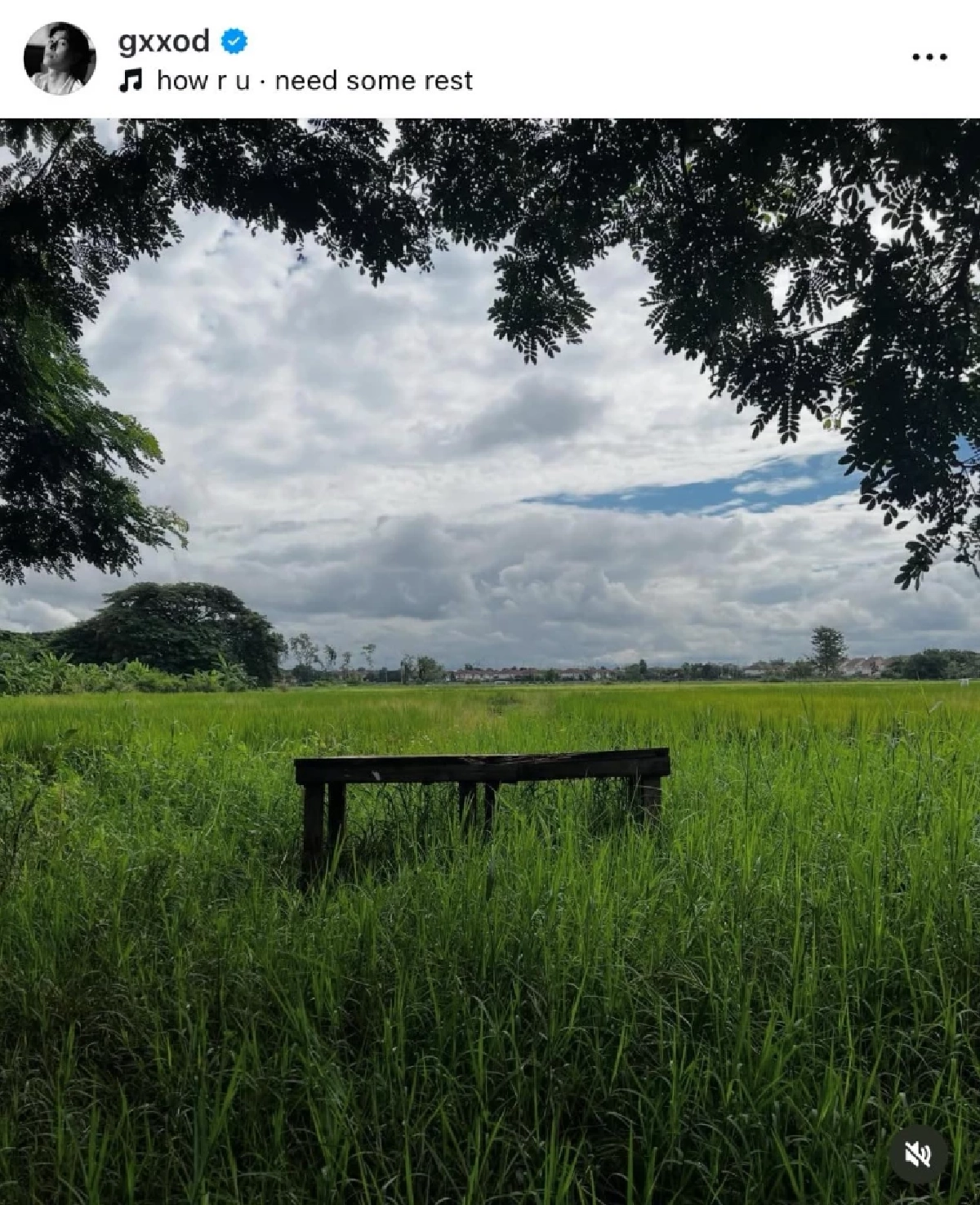 แฟนคลับใจหาย ก็อต-ริชชี่ ส่อรักร้าว ฝ่ายชายรับผิด โลเล-ไม่มั่นคง