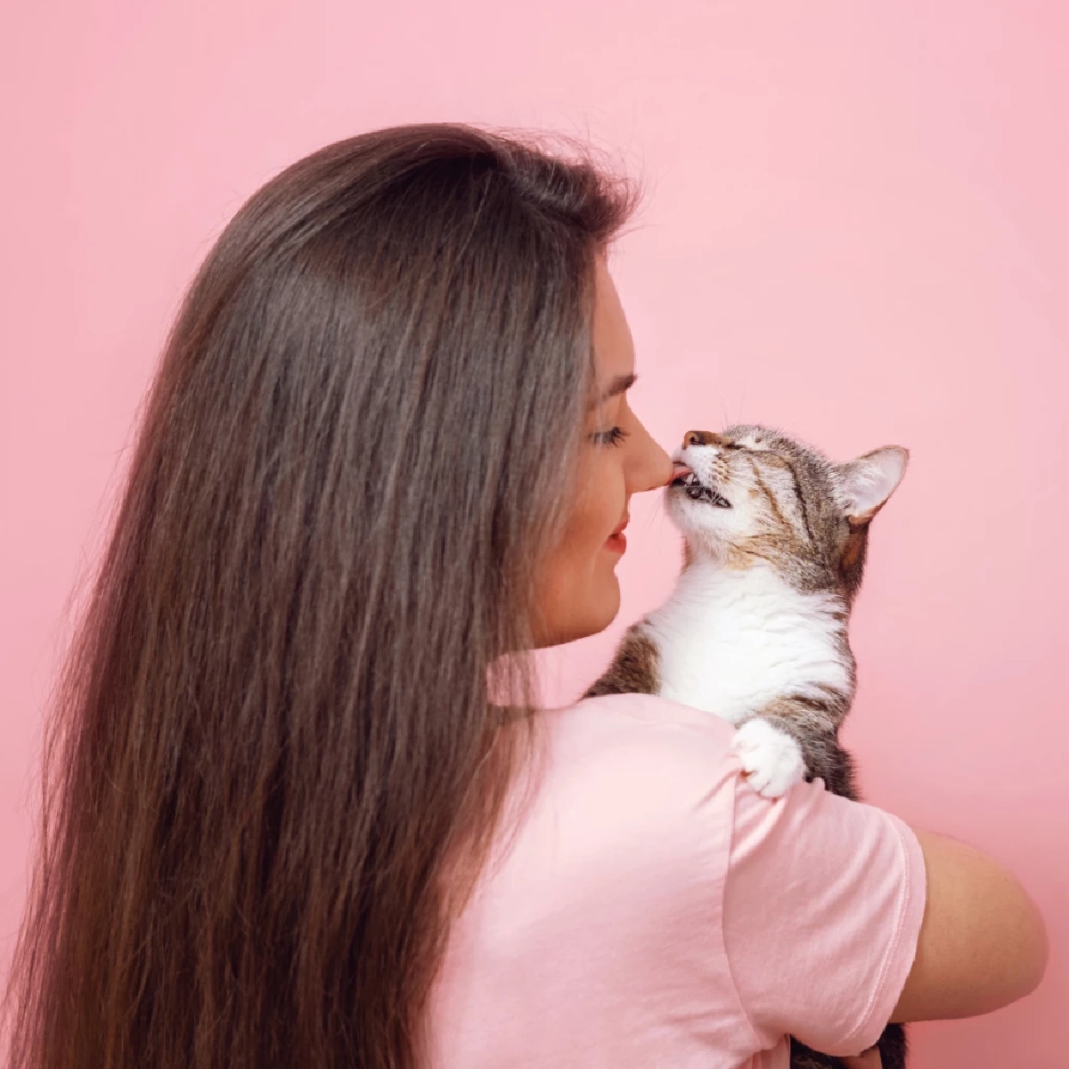 ทำไมแมวเลียคุณ? ความลับความรักที่เจ้าของต้องรู้