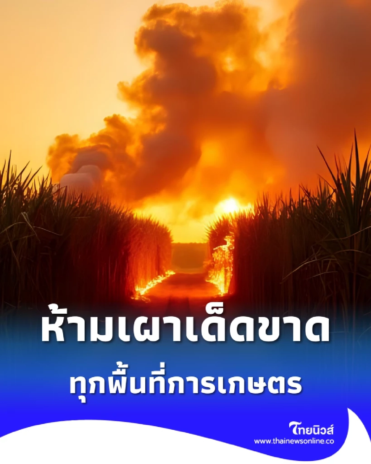 ประกาศแล้ว ห้ามเผาในพื้นที่การเกษตร เริ่ม 1 ก.พ.-31 มี.ค. 69