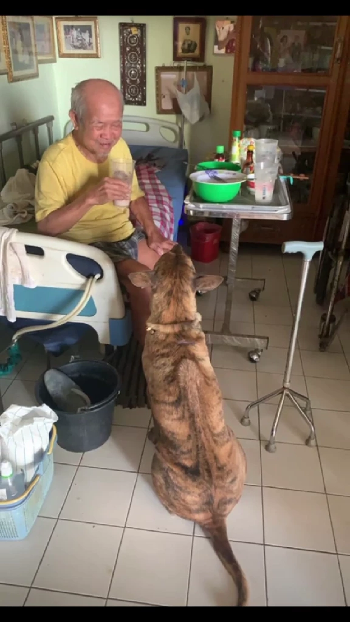 ซื่อสัตย์หมดหัวใจ! ไทเกอร์นอนเฝ้ารอยก๋งไม่เคยจางตลอด 5 ปี