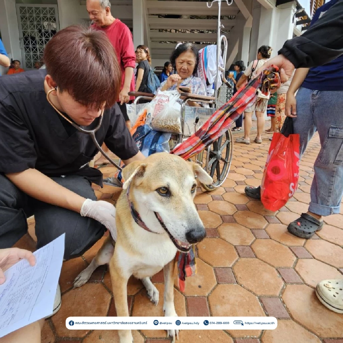 ทีมสัตวแพทย์ ม.อ. ลุยช่วยสัตว์เลี้ยงอพยพกลางวิกฤตหนัก