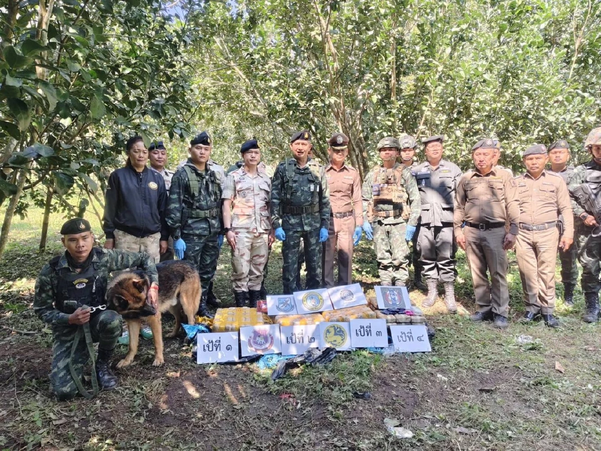 ผาเมืองทลายเครือข่ายค้ายา! ยึดยาบ้า 8 แสนเม็ดกลางสวนส้มโอ