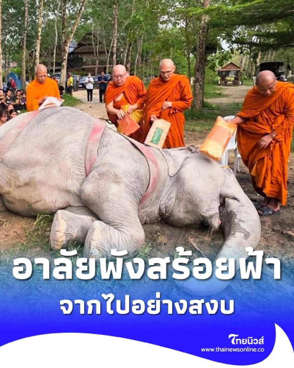 สุดอาลัย พังสร้อยฟ้า จากไปอย่างสงบ หลังอาการทรุดหนัก