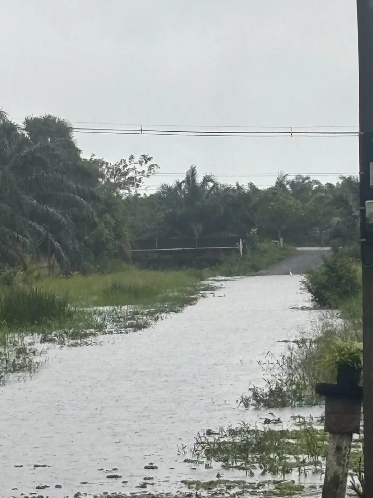 สงขลาอ่วม! ถนนถูกตัดขาด “หนูเล็ก ก่าก๊า” แจ้งลูกค้าขนส่งล่าช้า