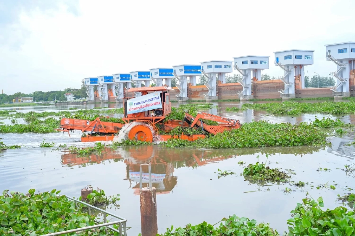 ชป.เร่งระบายน้ำ 5 จังหวัดภาคกลาง ฟื้นนาข้าวหลังน้ำท่วม