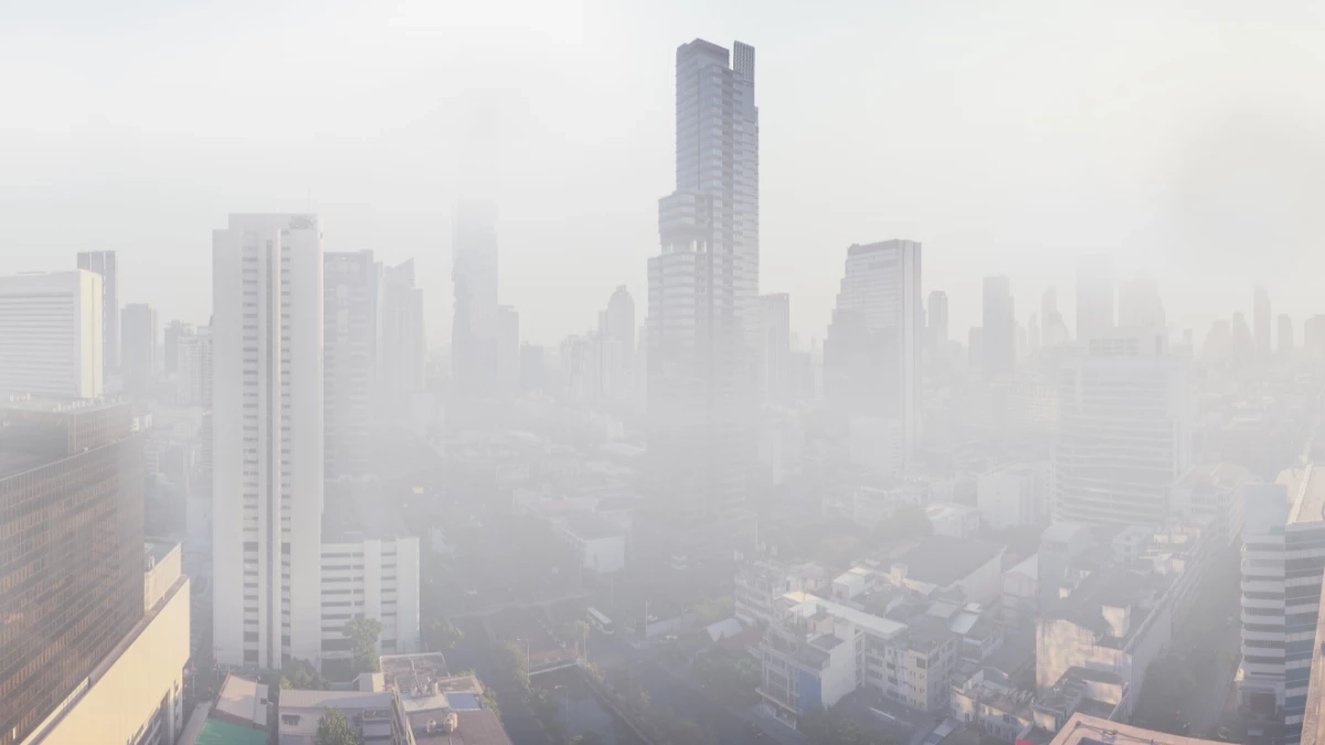 ฝุ่น PM2.5 ยังไม่หยุดพุ่ง แอปช่วยบอกค่าฝุ่นก่อนออกจากบ้าน