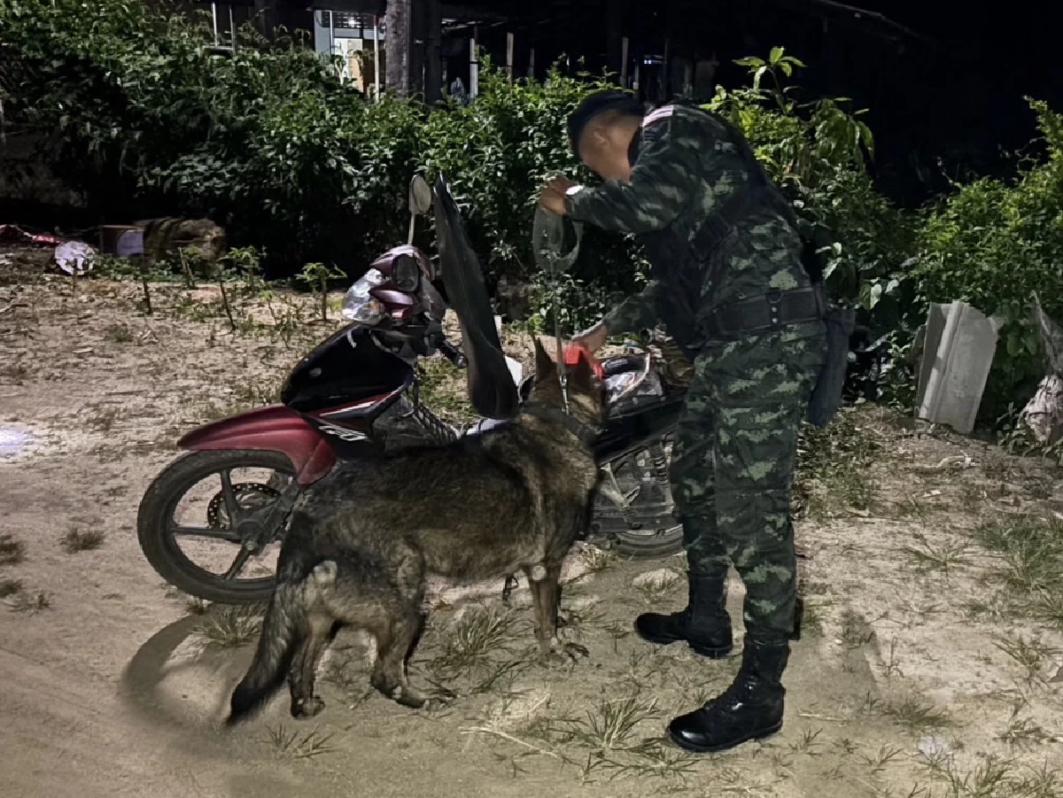 กองกำลังบูรพาเข้มชายแดนสระแก้ว หลังจับลอบเข้าเมืองกว่า 500 ราย