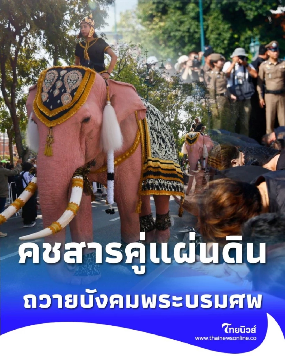 ขบวน คชสารคู่แผ่นดิน 11 เชือก น้อมถวายบังคมพระบรมศพ สมเด็จพระบรมราชชนนีพันปีหลวง