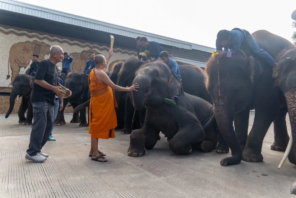 สวนนงนุชพัทยาเปิดรับขวัญ “ลูกช้างพี่น้องต่างครรภ์” คู่ใหม่แห่งปี 2568