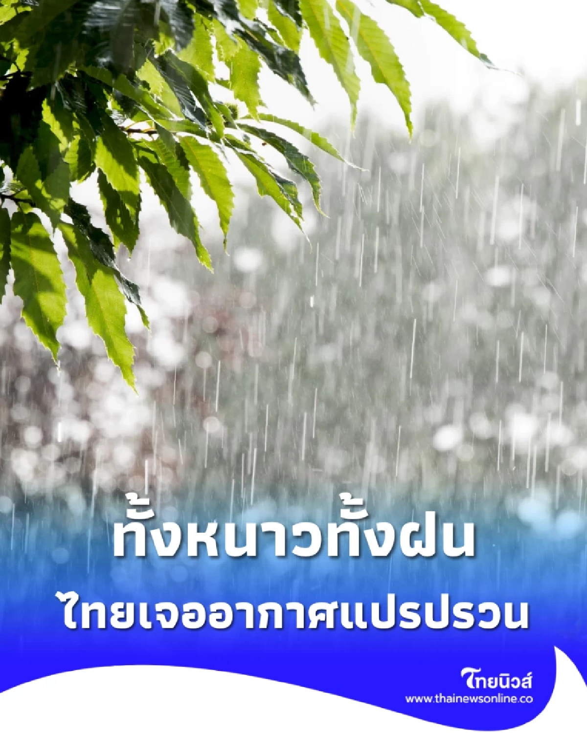 ไทยเจออากาศแปรปรวน ทั้งหนาวทั้งฝนลมแรงหลายพื้นที่