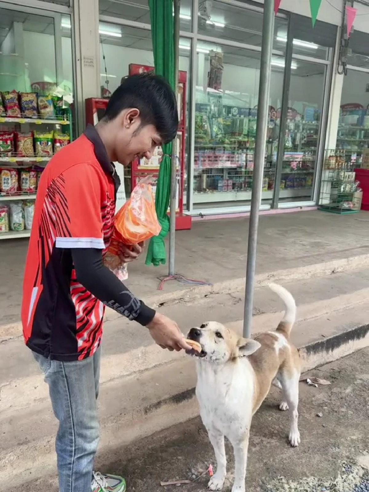 ถูกหักเงินก็ไม่หวั่น หนุ่มส่งขนมปังใจงาม คอยเลี้ยงอาหารหมาจร