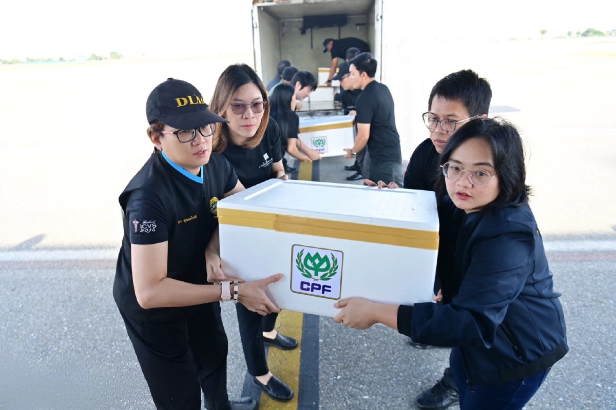 ระดมสรรพกำลัง! ชาว\"ซีพีเอฟ\" ฝ่าน้ำท่วม ลุยช่วยพี่น้องชาวใต้