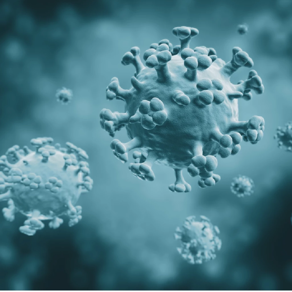 ผวา สหรัฐฯ พบ ไข้หวัดนก H5N5 ติดเชื้อในคนครั้งแรก