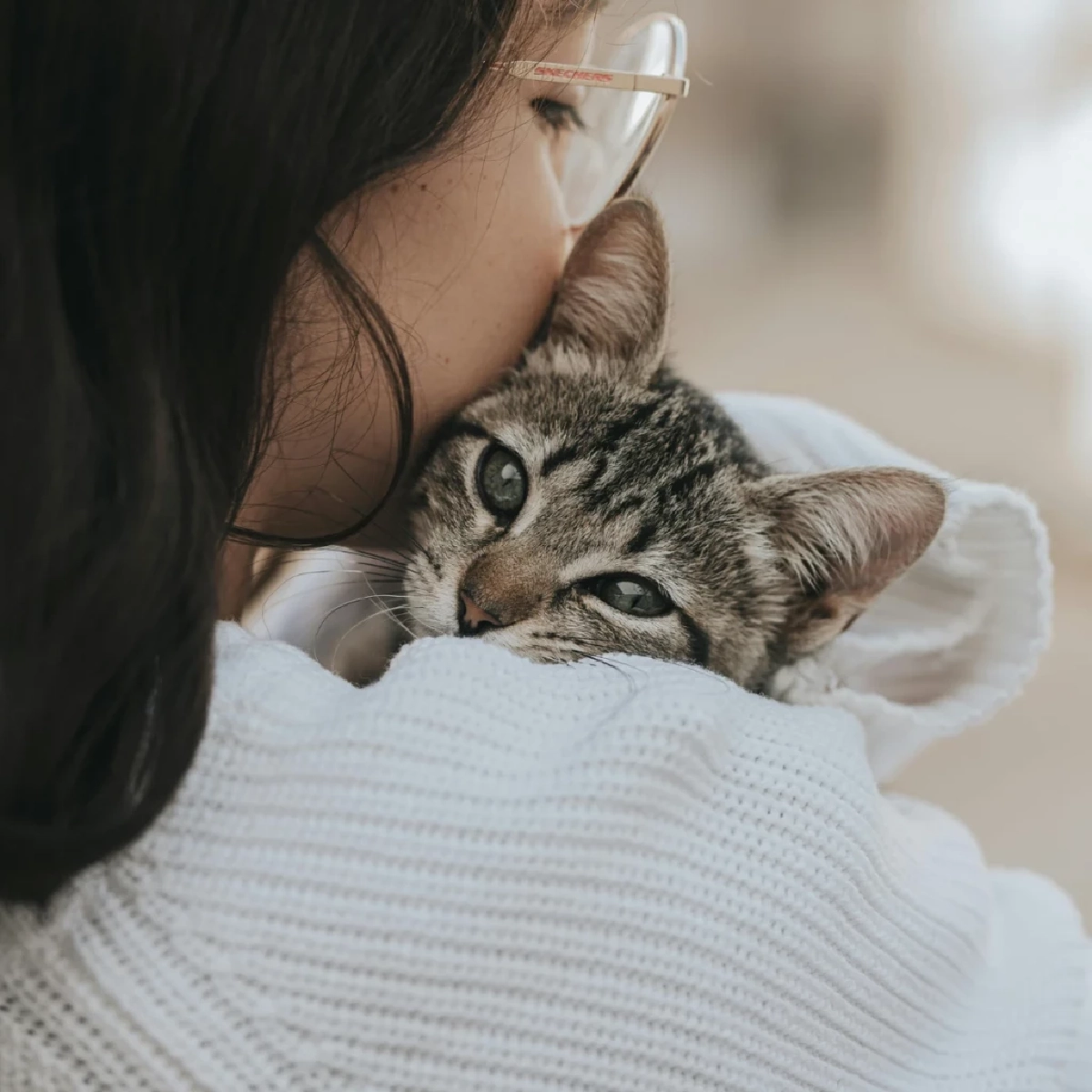 กอดหมา–แมวช่วยคลายหนาว! ผู้เชี่ยวชาญเผยประโยชน์เพียบ