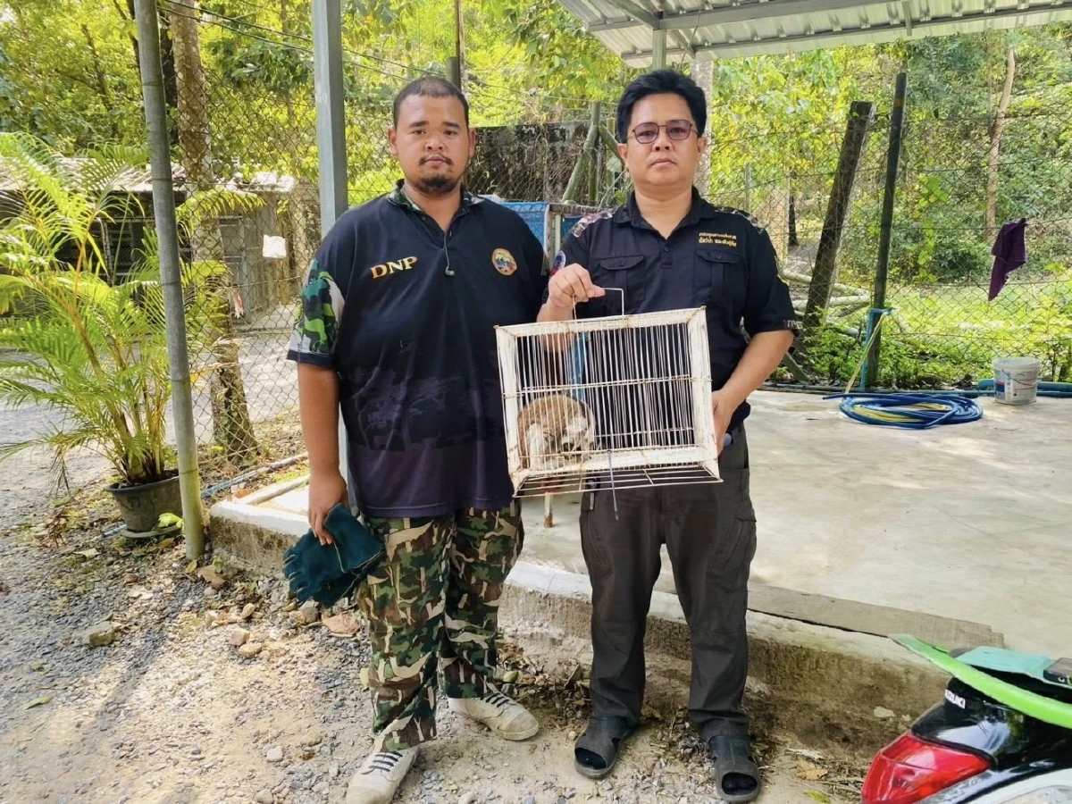 รับมอบ นางอาย พลัดหลง ผ่านการแจ้งผ่านสายด่วนพิทักษ์ป่า 1362