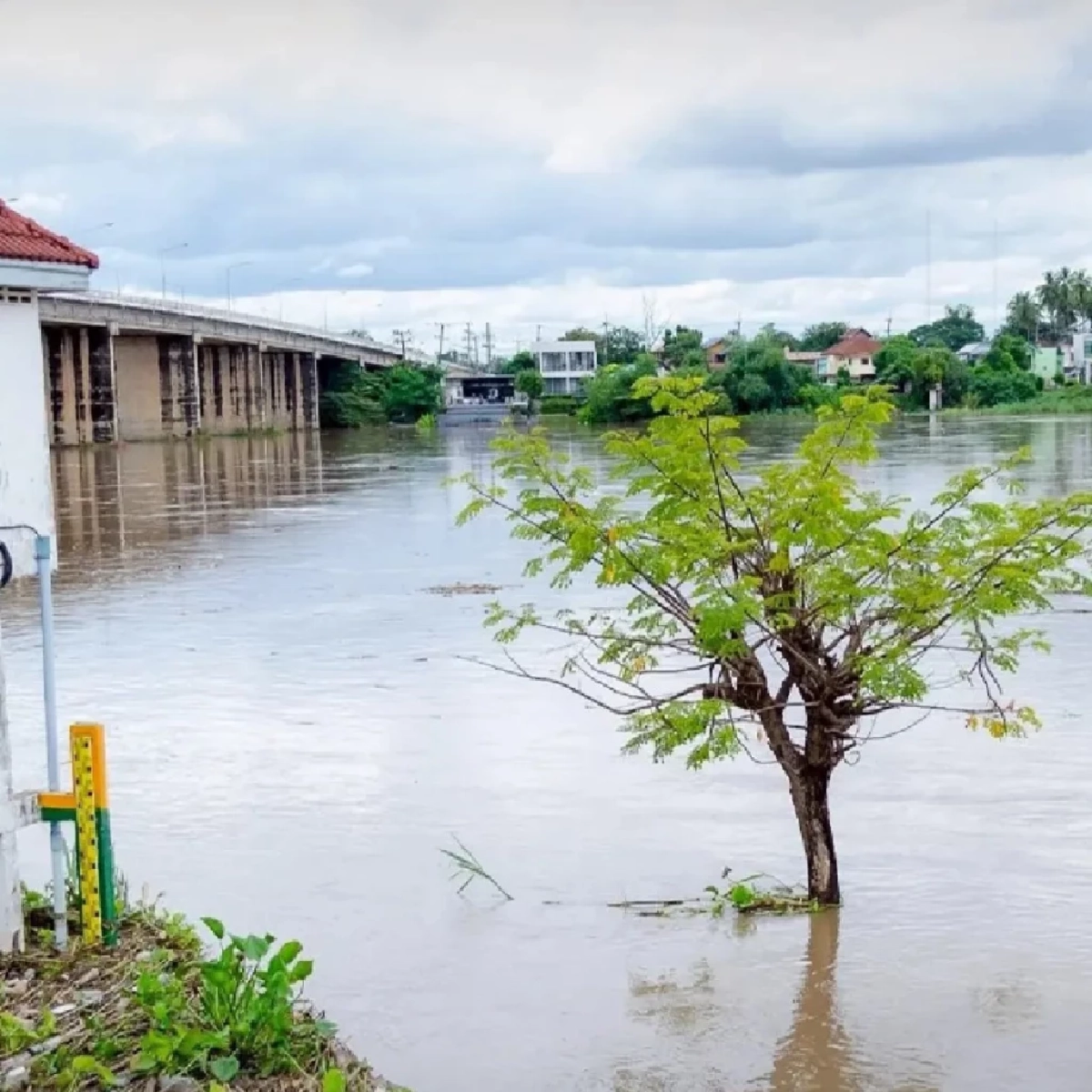 เขื่อนเจ้าพระยาเพิ่มการระบายน้ำ เตือน 11 จังหวัดลุ่มน้ำเจ้าพระยารับมือน้ำท่วม