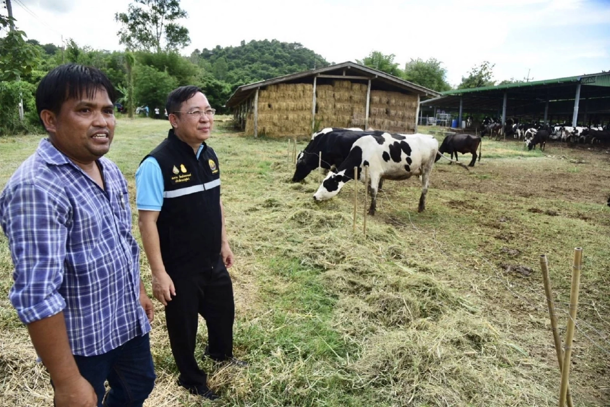 กรมปศุสัตว์โต้กลับดราม่า นมโคไทย แท้ชัวร์ ปลอดภัย ไร้ผสม