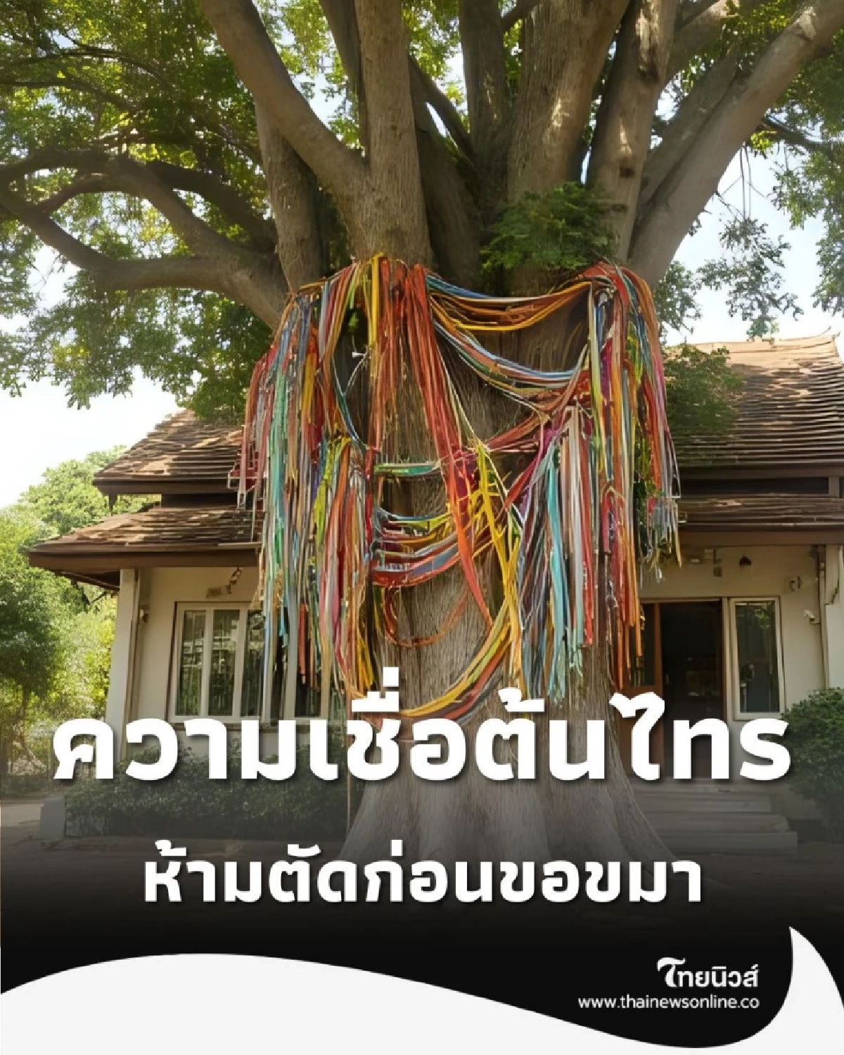 แค่เห็นก็ขนลุก เปิดความเชื่อโบราณเกี่ยวกับ ต้นไทร ที่คนยุคนี้ไม่เคยรู้