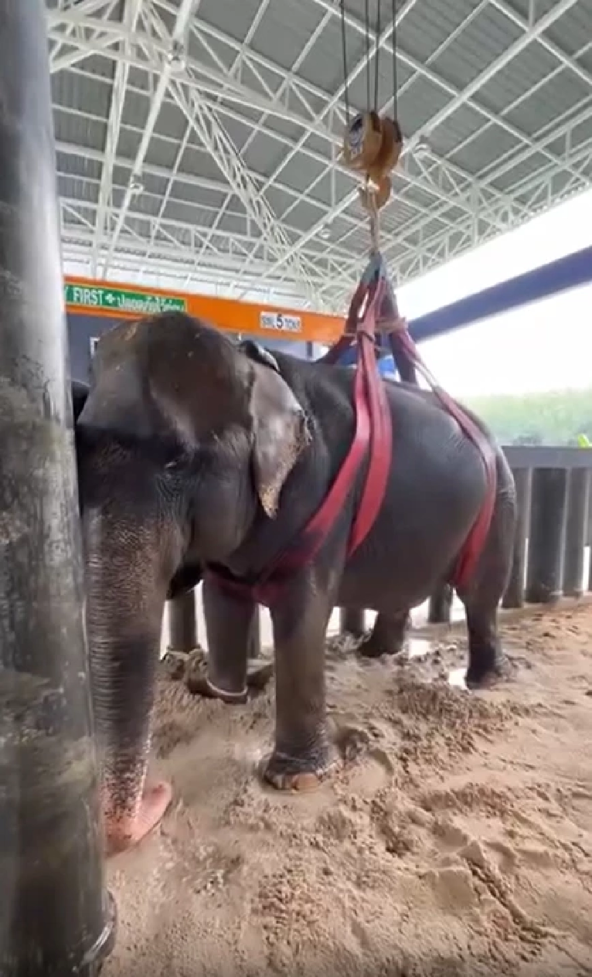 \"หมอโบว์\"เศร้า สิ่งสุดท้ายไม่ได้ทำ พังสร้อยฟ้า ล้ม หลังสู้18วัน