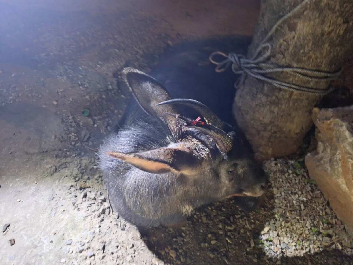 ช่วยทันเวลา! เจ้าหน้าที่สระบุรีช่วยเลียงผาบาดเจ็บ ส่งรักษา