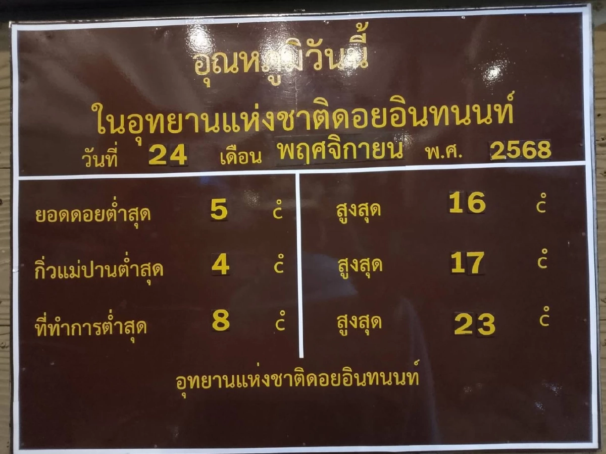 ดอยอินทนนท์พบเหมยขาบแรกของปี อุณหภูมิลดฮวบเหลือ 4 องศา