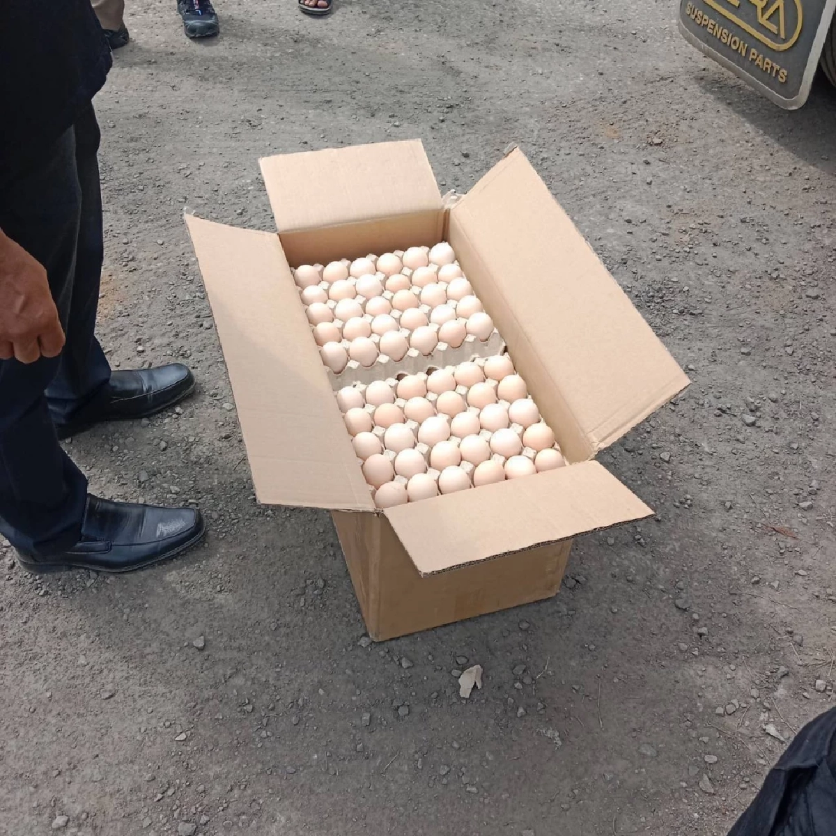 สกัดด่วน ไข่ไก่มีเชื้อ 3.5 แสนฟอง ลอบเข้าไทย เสี่ยงแพร่โรค