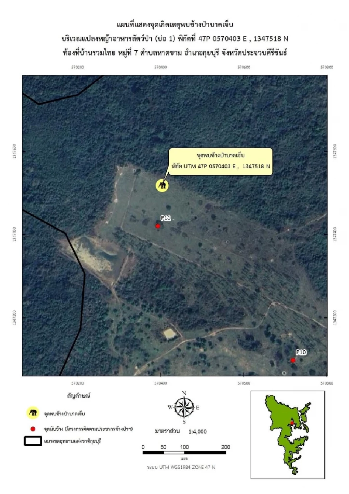 พบช้างป่ากุยบุรีบาดเจ็บขาหลัง เจ้าหน้าที่เร่งประเมินอาการช่วยเหลือ
