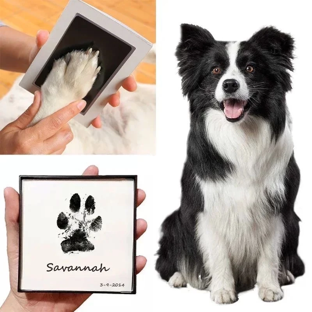 ไปรษณีย์ไทยเปิดตึกบางรักรับน้องสี่ขา ครั้งแรก พร้อมกิจกรรมจัดเต็ม