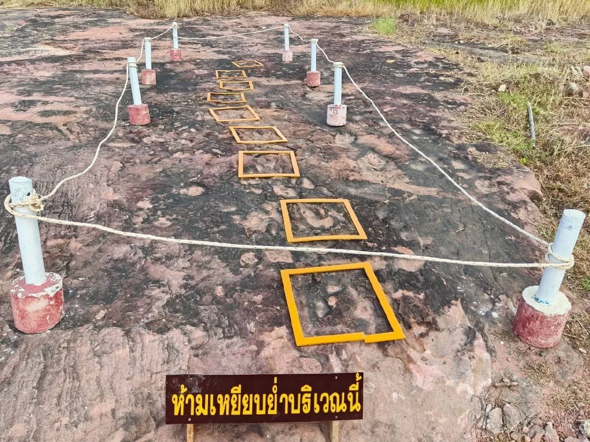 ชวนสัมผัสรอยเท้าไดโนเสาร์ และท้องฟ้า Dark Sky ที่ภูหินร่องกล้า