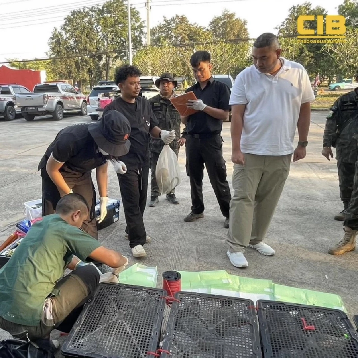 รวบชาวกัมพูชา ลักลอบขนลิงแสมข้ามชาติ ช่วยชีวิตได้ 63 ตัว