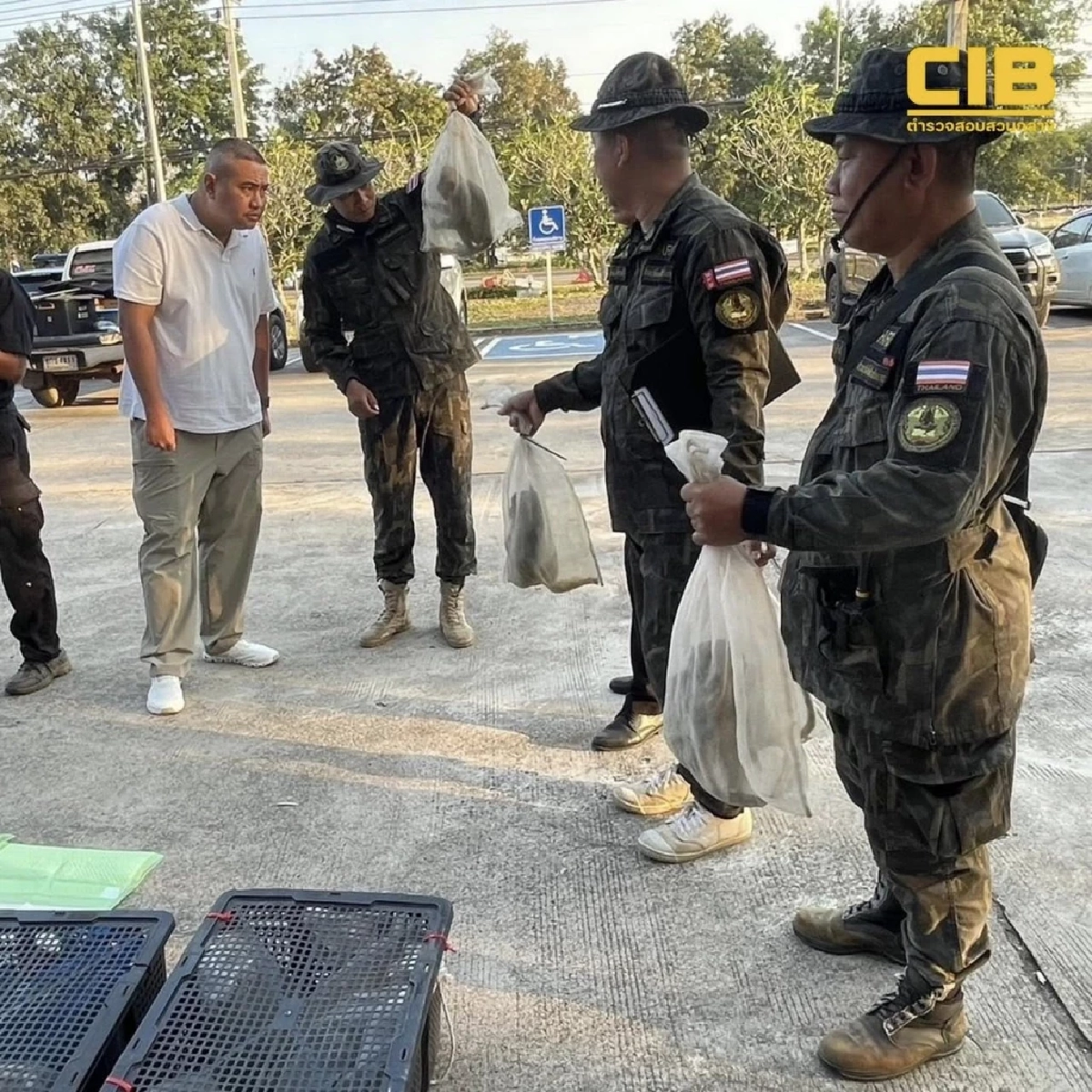 รวบชาวกัมพูชา ลักลอบขนลิงแสมข้ามชาติ ช่วยชีวิตได้ 63 ตัว