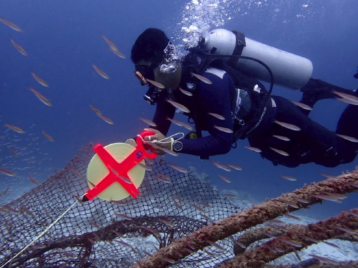 พบซากอวนยักษ์กลางสิมิลัน! อุทยานฯเร่งเก็บกู้ฟื้นฟูแนวปะการัง