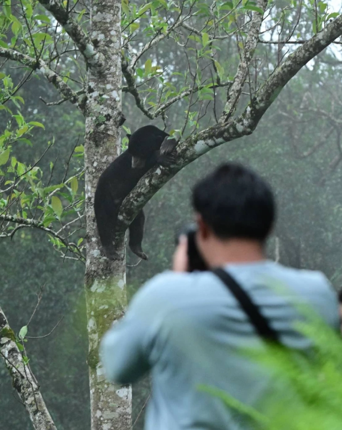 เขาพะเนินทุ่งเปิดวันแรก “น้องทุเรียน” หมีหมาโผล่ต้อนรับนักท่องเที่ยวสุดชิลล์