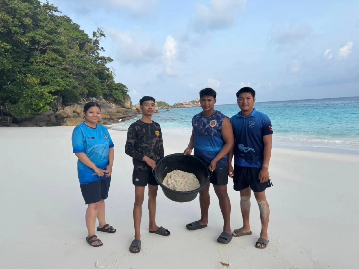 เต่าตนุวางไข่รังที่ 3 สิมิลันคึก! สัญญาณทะเลสมบูรณ์