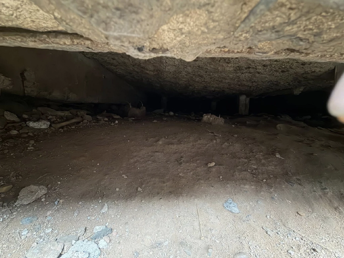 The Hope ช่วยหมาจรกว่า 30 ชีวิตติดใต้ตึกเสี่ยง งู-ตัวเงินตัวทองเพ่นพ่าน