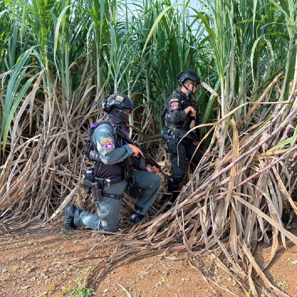 เข้มชายแดน! สกัดแรงงานต่างด้าวทะลักเข้าไทย จับกุมรวม 28 ราย